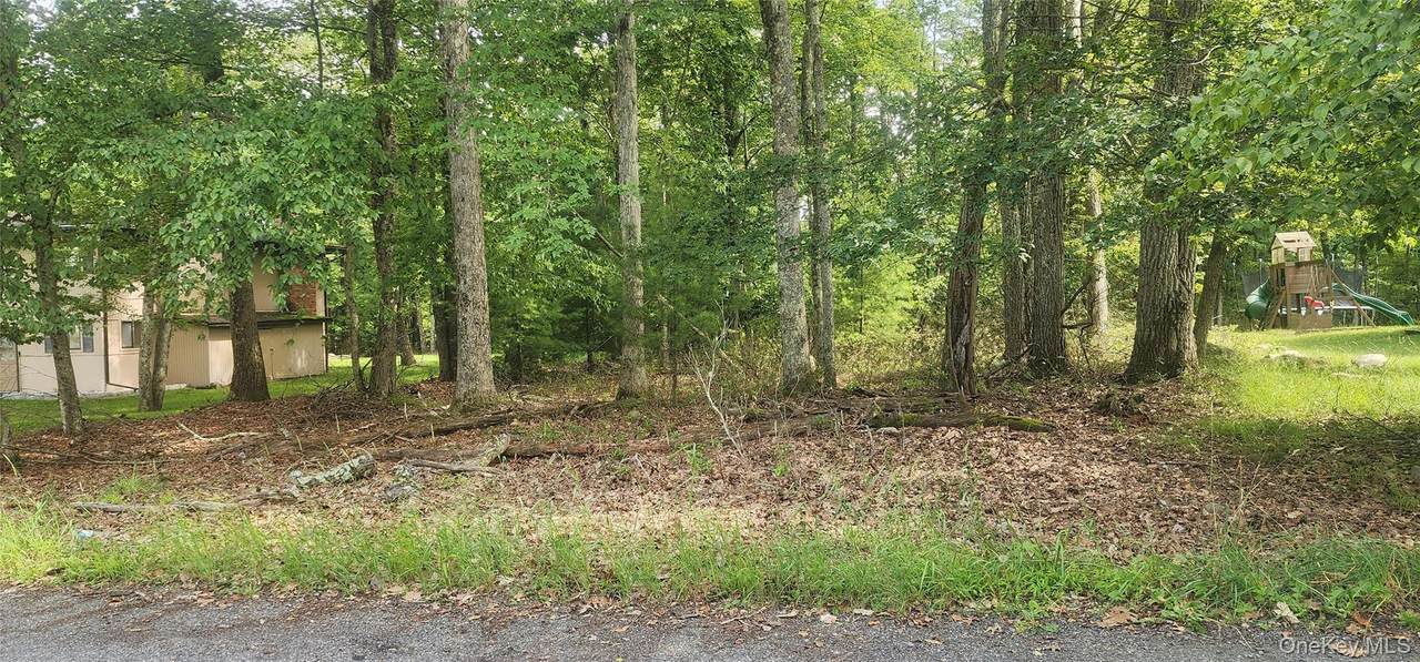  Chelsea Lane - Photo 1