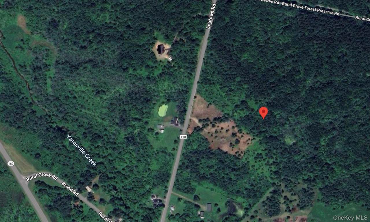  Logtown Road - Photo 1