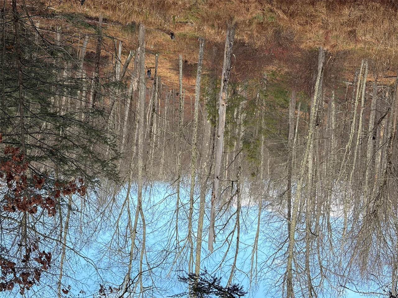 X Aldrich Road - Photo 1