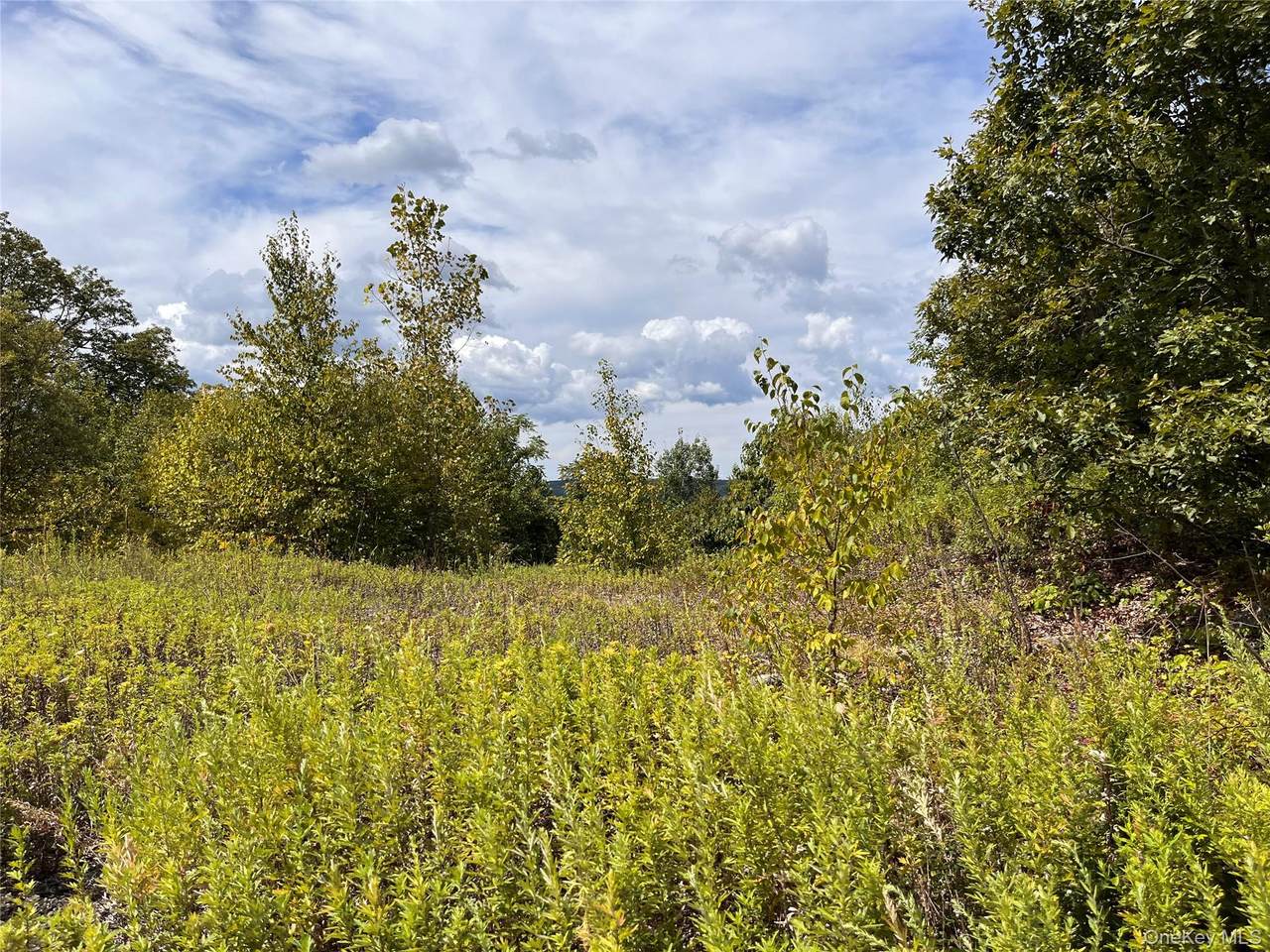 31 Ridgecrest Road - Photo 1