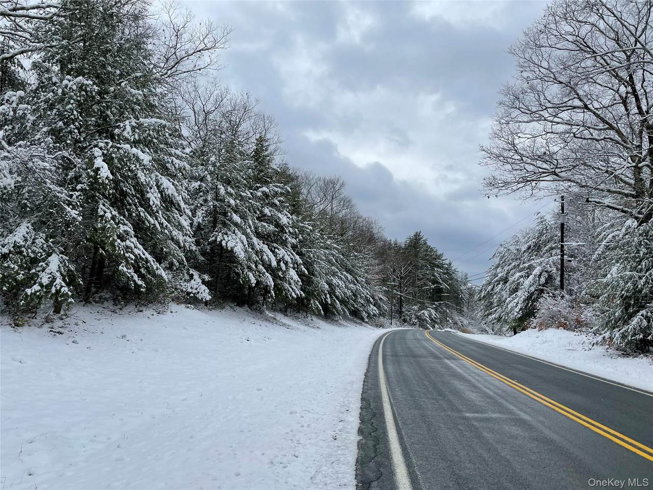 1315 Sackett Lake Rd - Photo 1