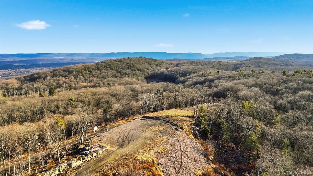 229 Mount Zion Road - Photo 1