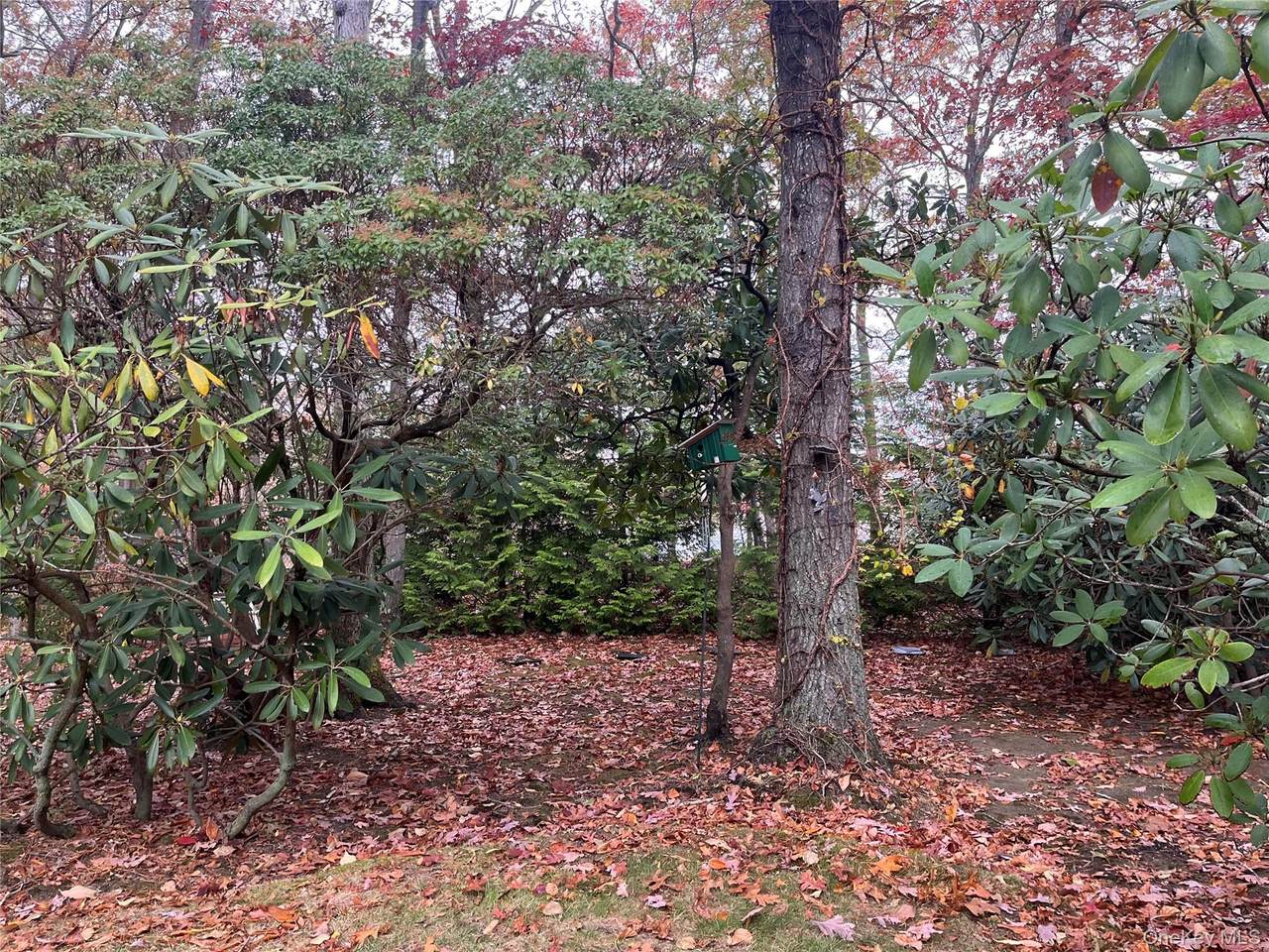 Lot 16 Fox Hunt Lane - Photo 1