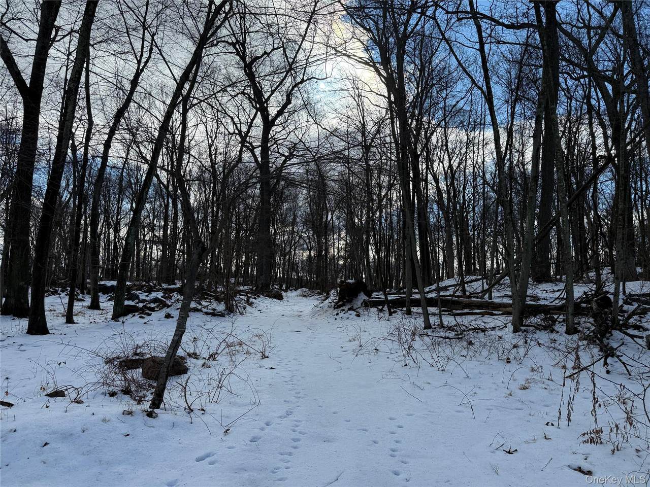 8 Maple Ridge Trail - Photo 1