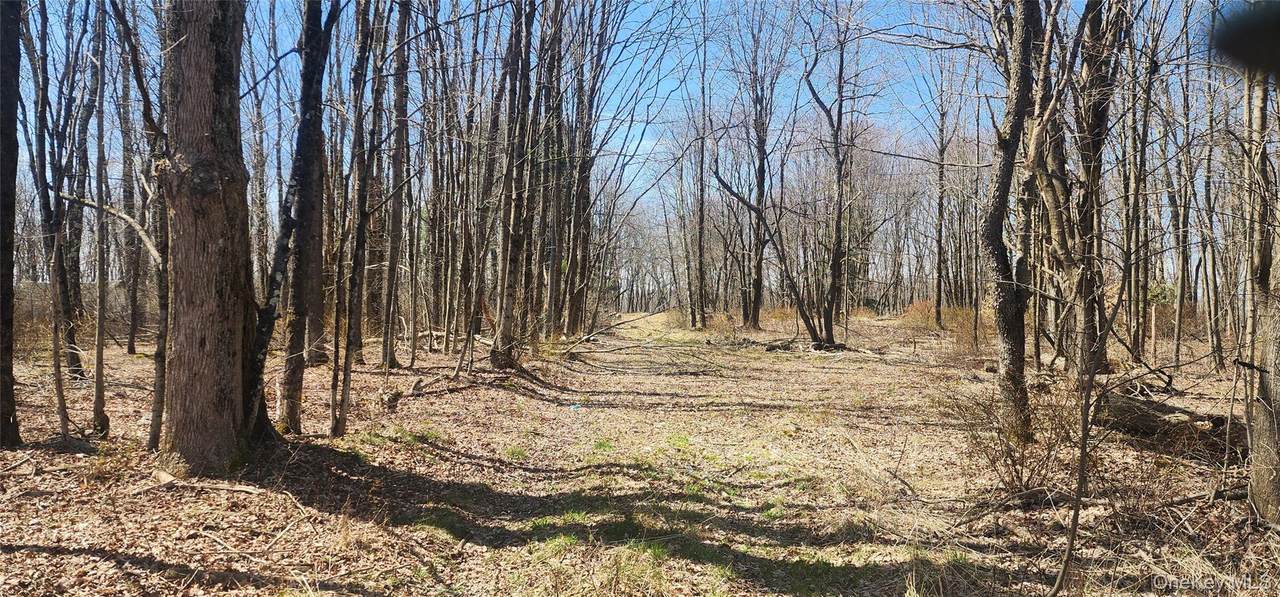 00 Liberty Street - Photo 1