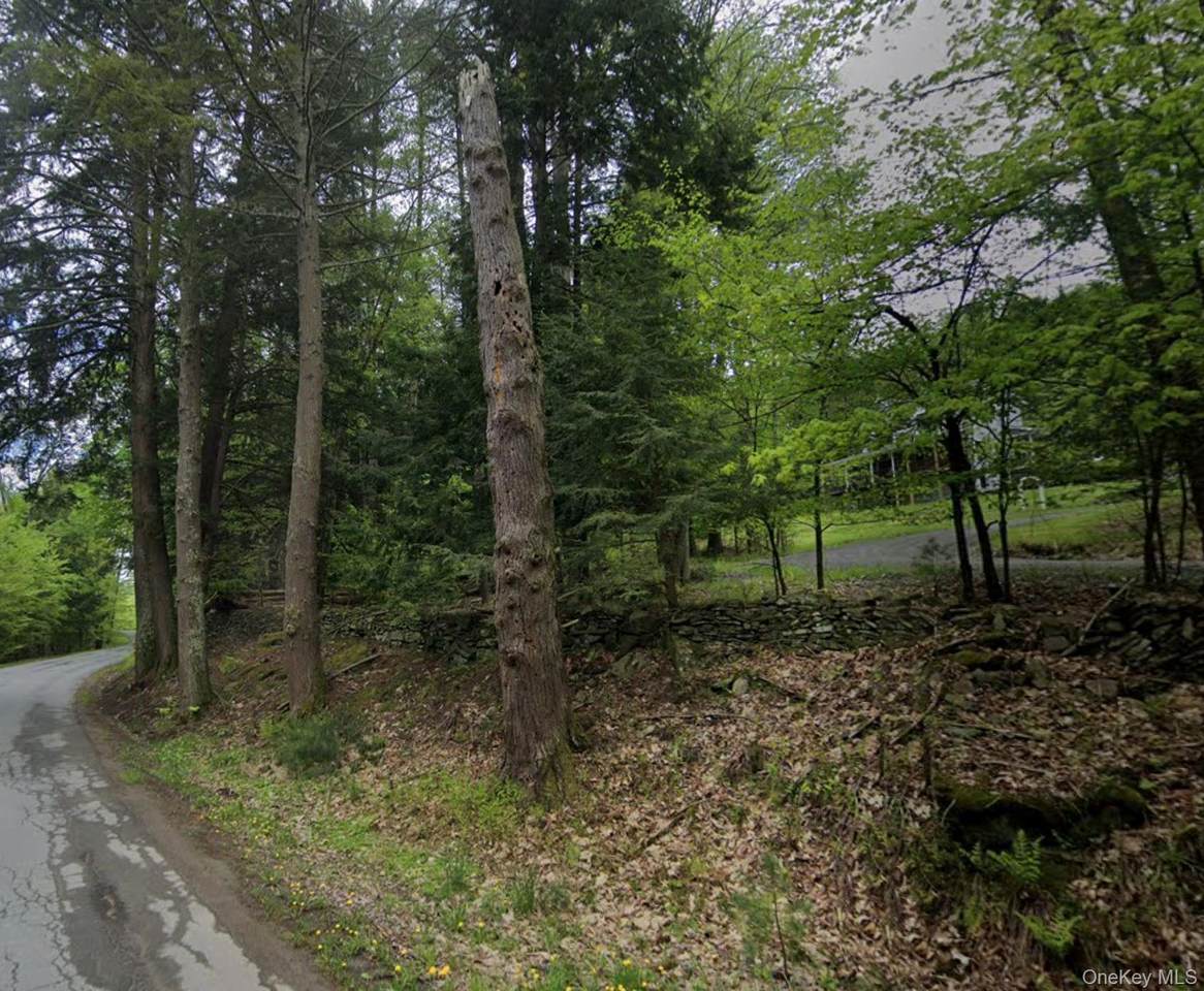  Oriole Trail - Photo 1