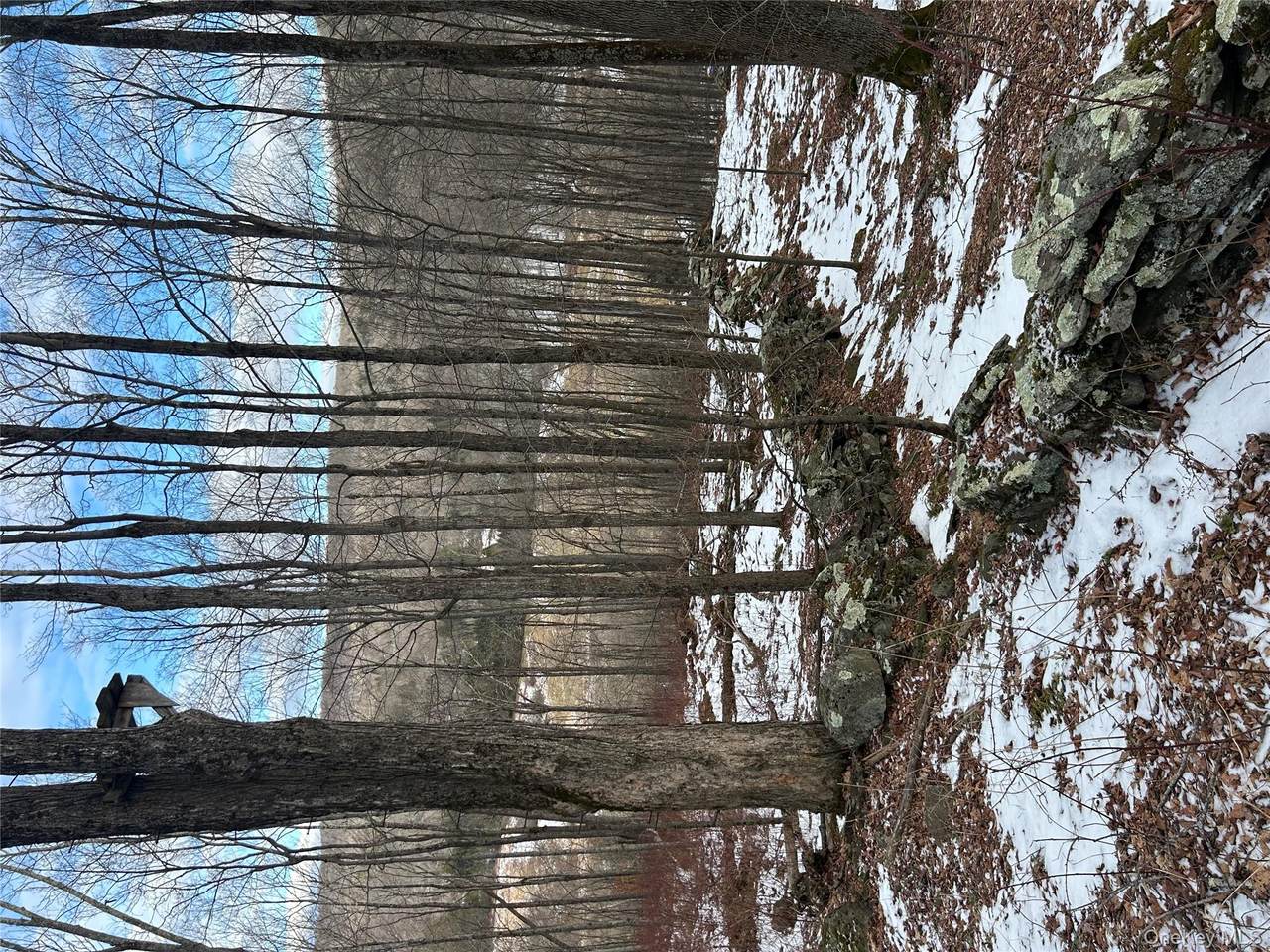 58 County Hwy 36 Kelly Corners-Denver-Vega Road - Photo 1