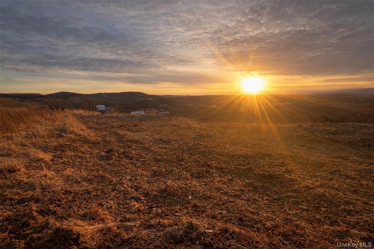 75 Palazzo Lane - Photo 1