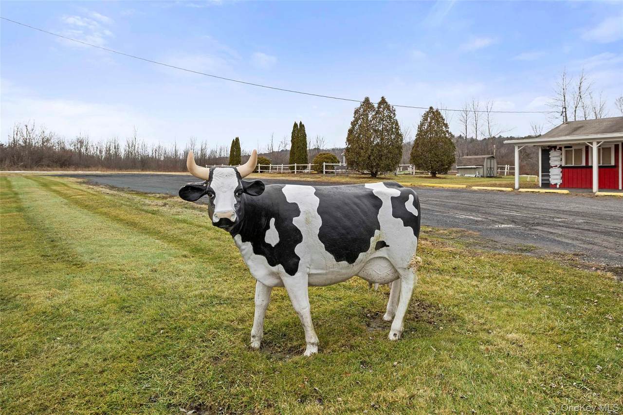 11051 State Route 9W - Photo 1