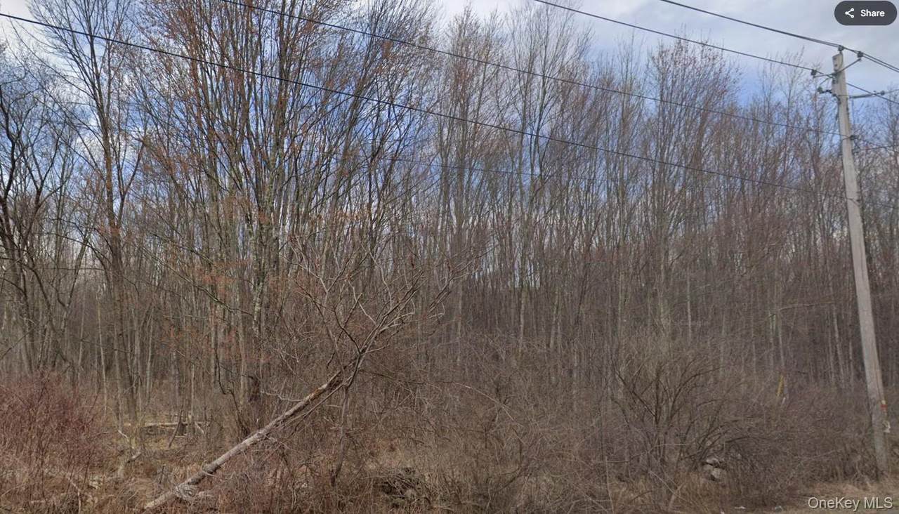  Ingrassia Road - Photo 1