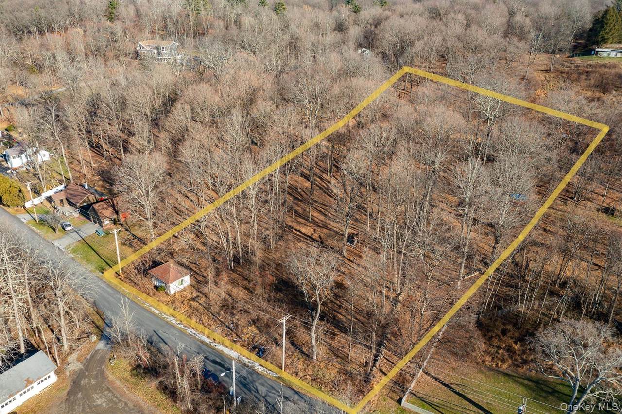 74 Old Albany Post Road - Photo 1