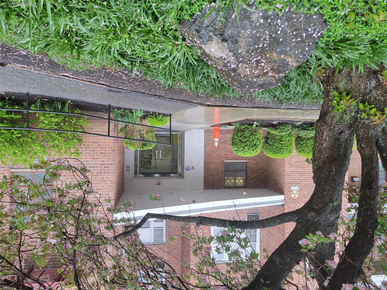 245 Rumsey Road - Photo 1