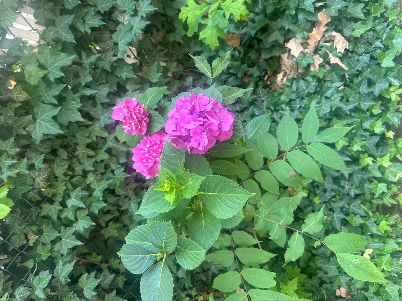 https://bt-photos.global.ssl.fastly.net/wpmls/1280_boomver_2_1017948-1.jpg