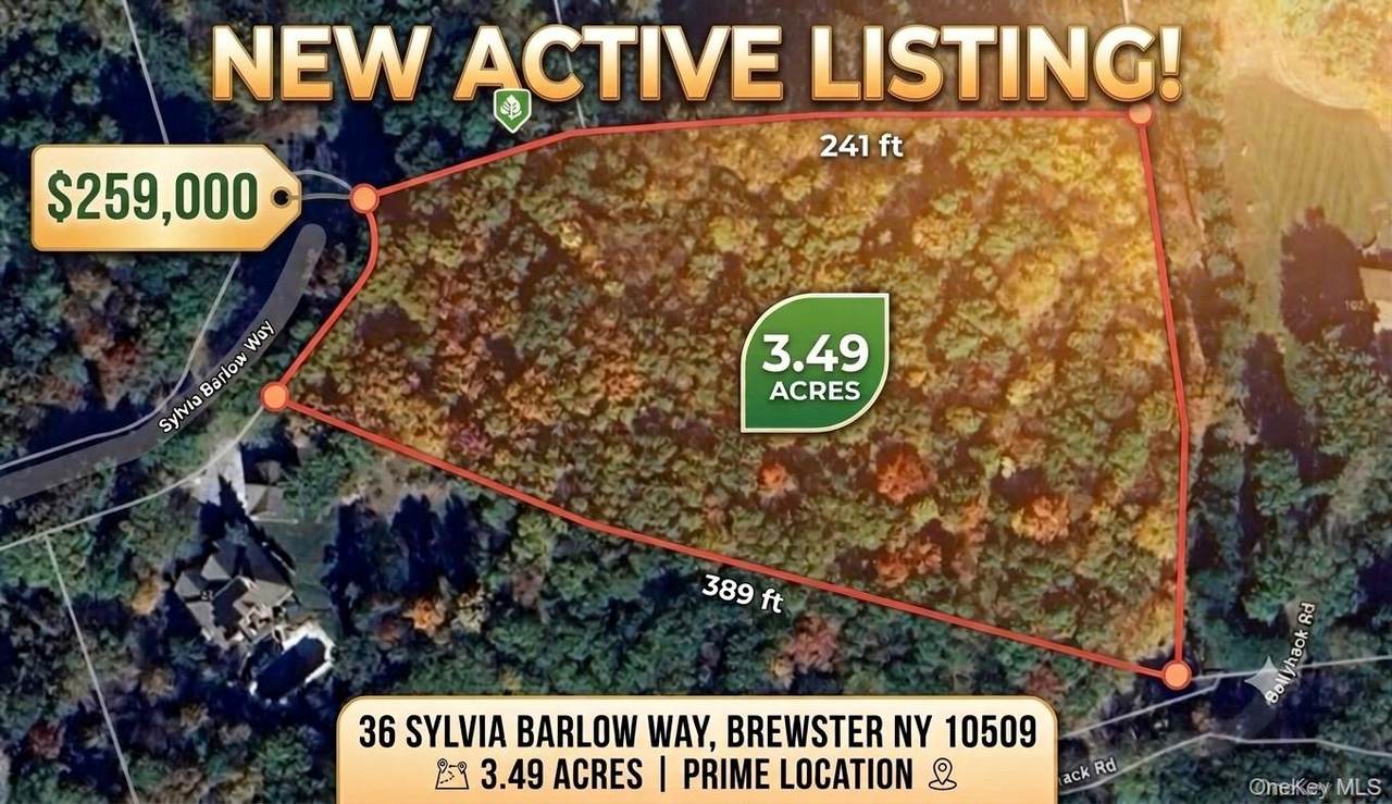 36 Sylvia Barlow Way - Photo 1