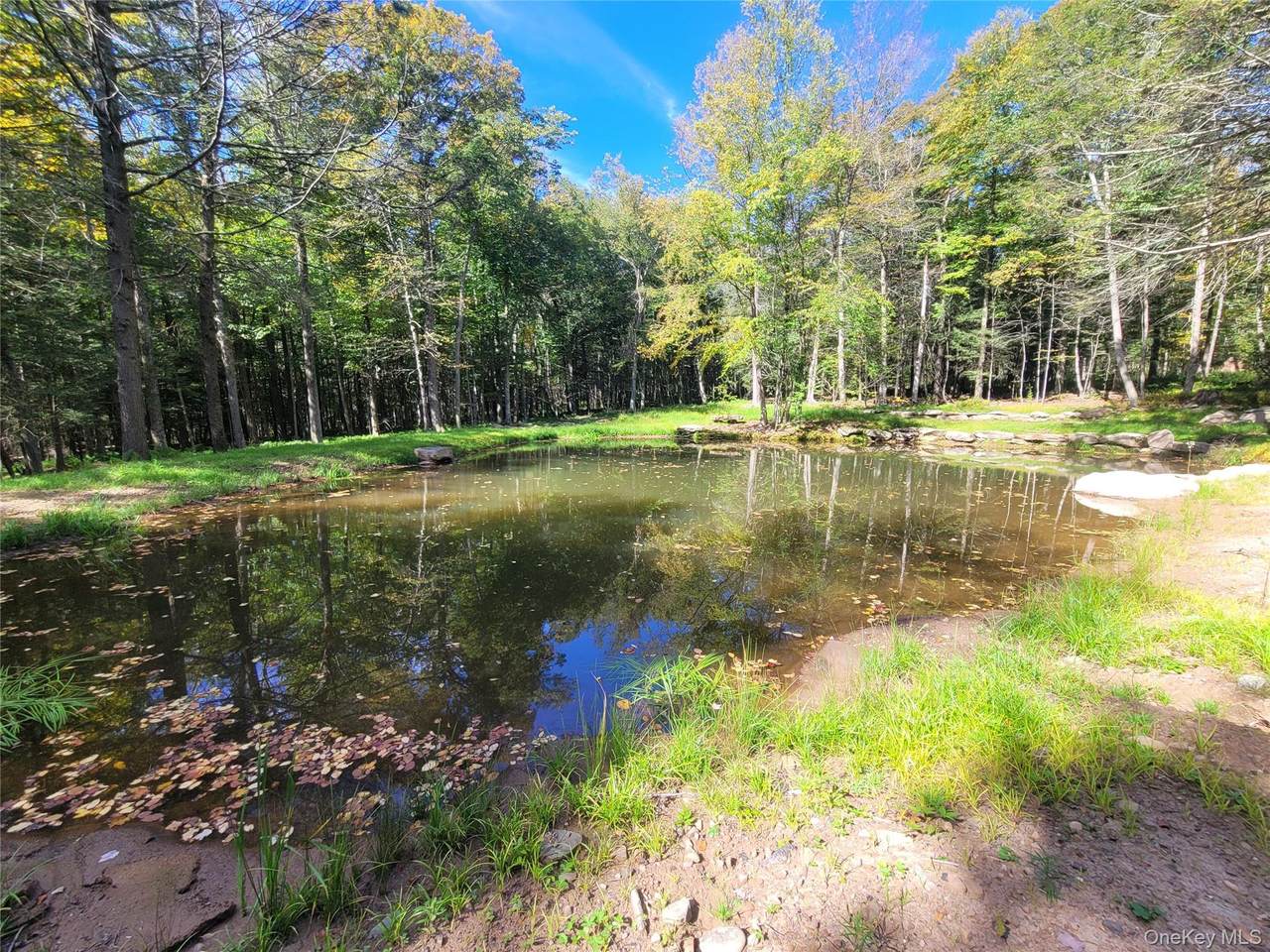 361 Ahrens Road - Photo 1