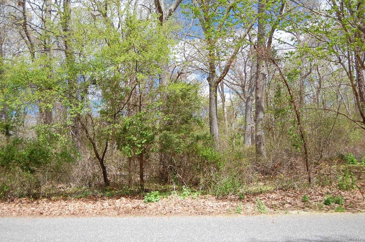 Lot #12 Briana Court - Photo 1