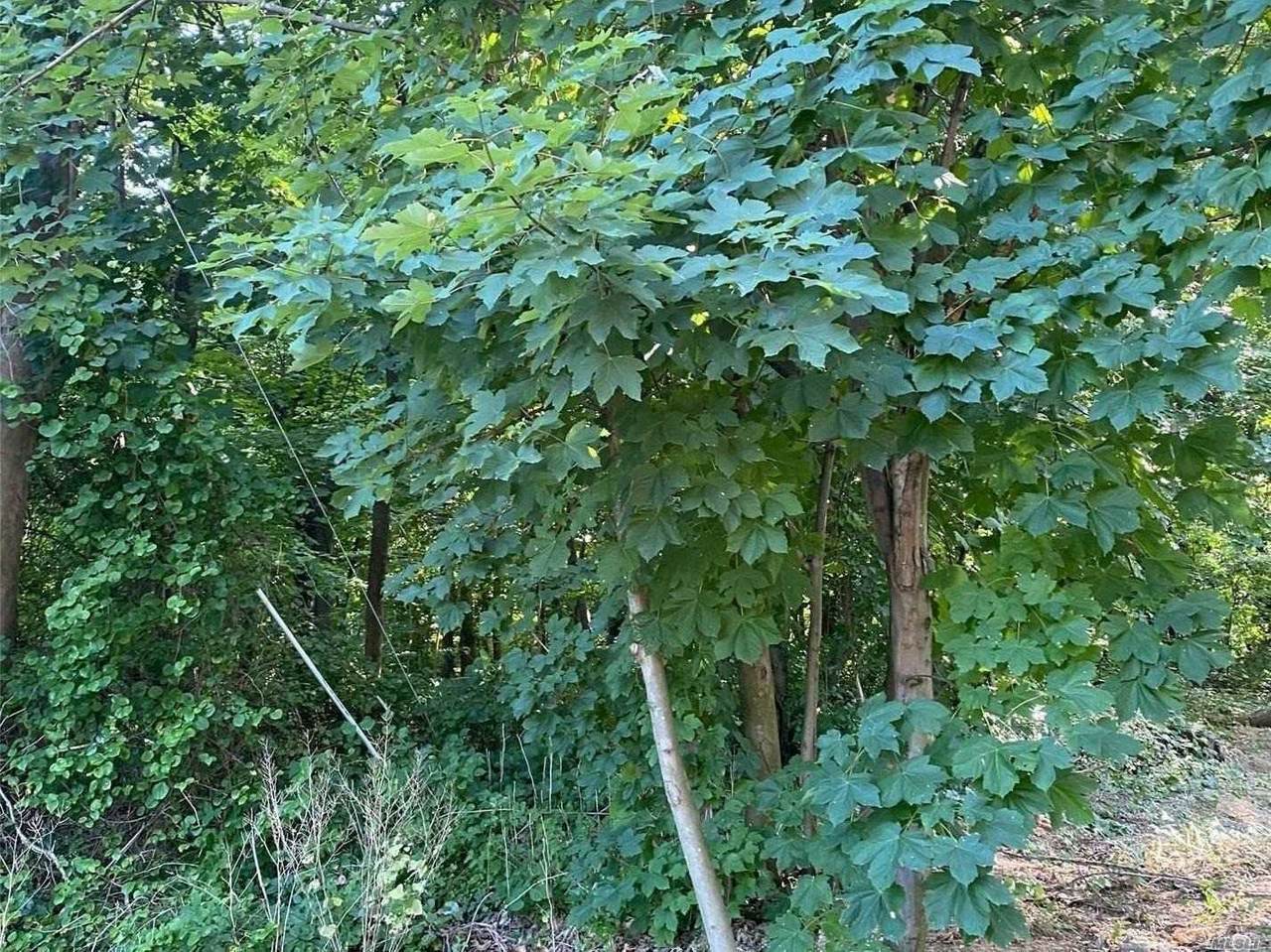 34 Burns Avenue - Photo 1