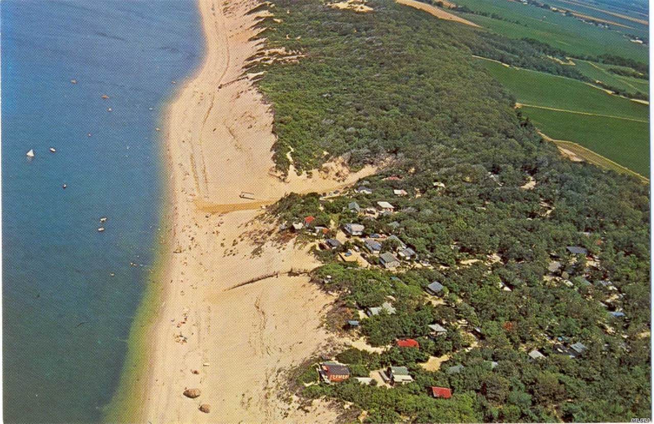 31 Beach Hill Drive - Photo 1