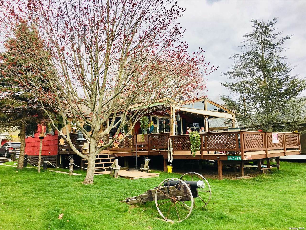 12 Mcconney Grove - Photo 1