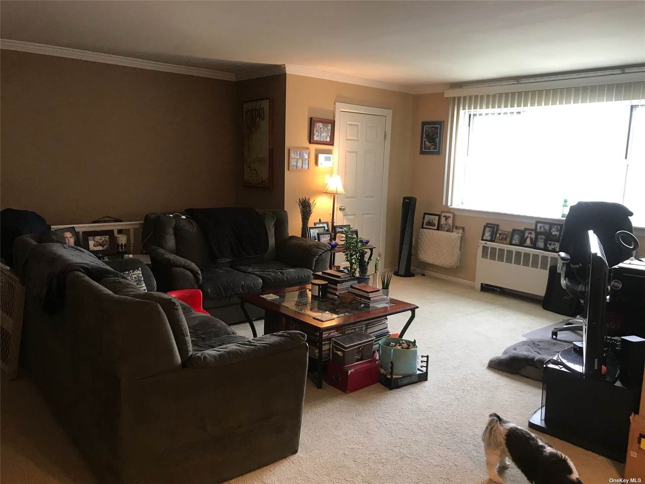 150-40 Jewel Avenue - Photo 1