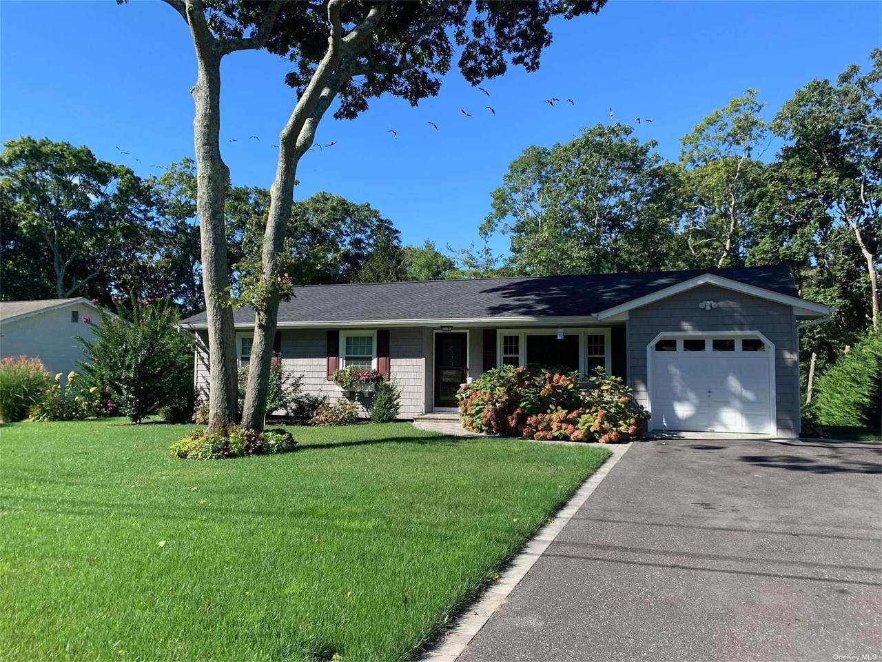 5 Terrace Lane - Photo 1