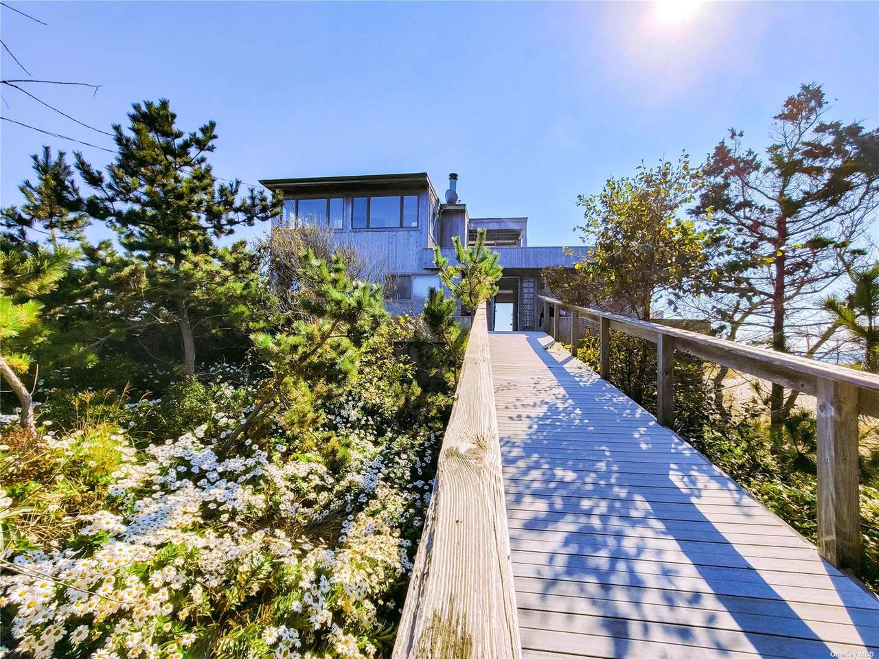 406 Ocean Walk - Photo 1