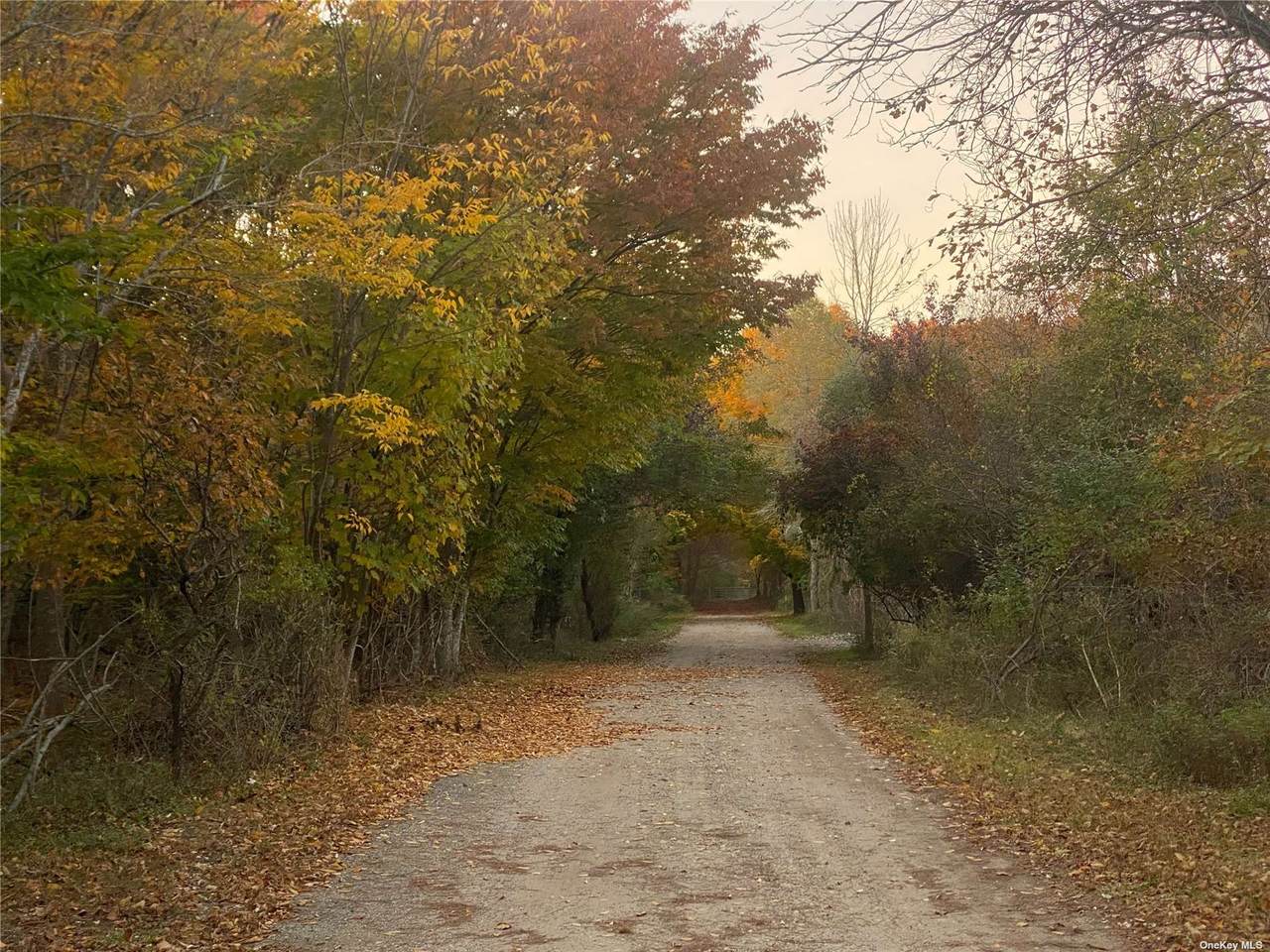 Lincoln Boulevard - Photo 1