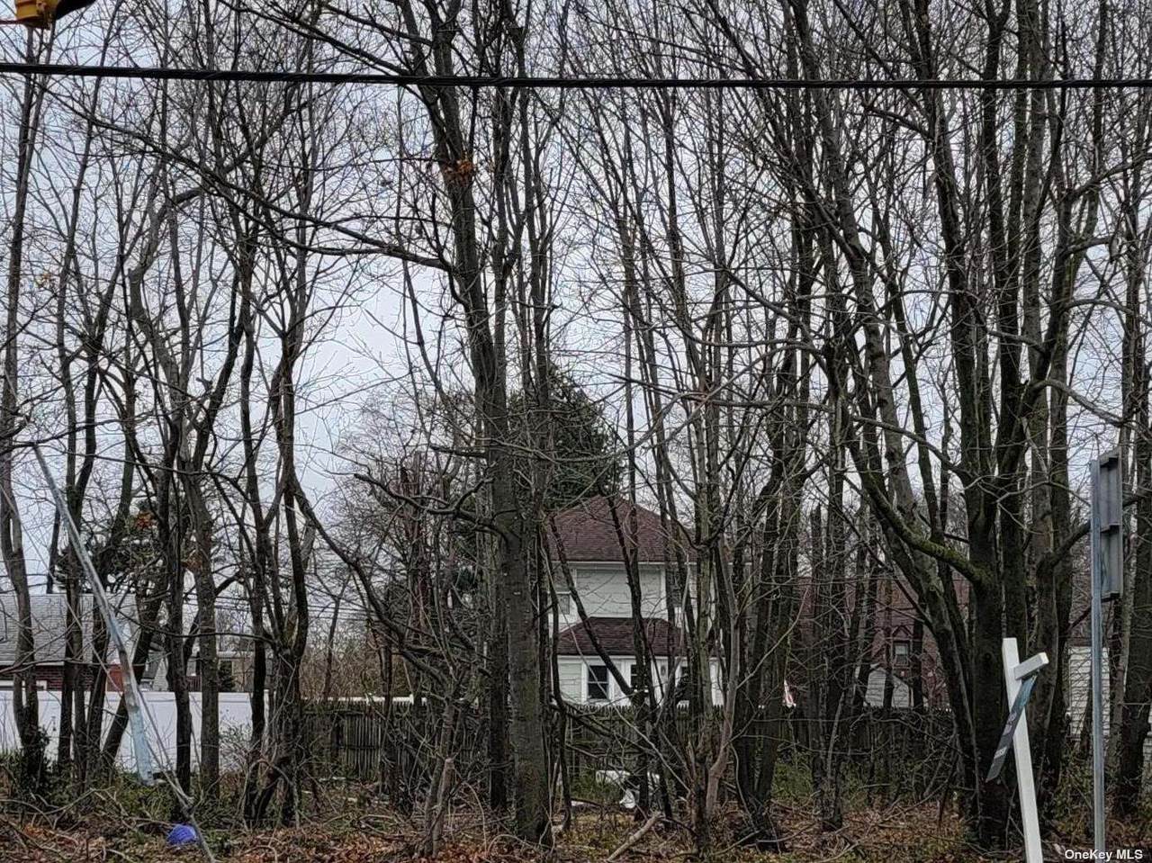N/C Carleton Avenue - Photo 1