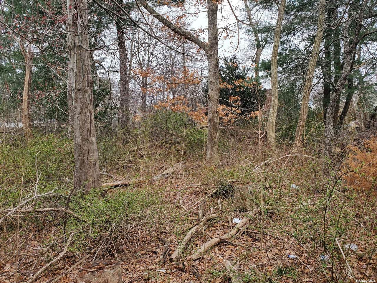 0 Cone Avenue - Photo 1