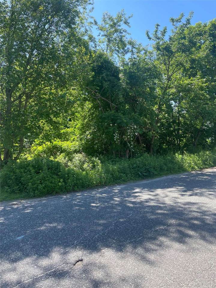 0 Adams Avenue - Photo 1