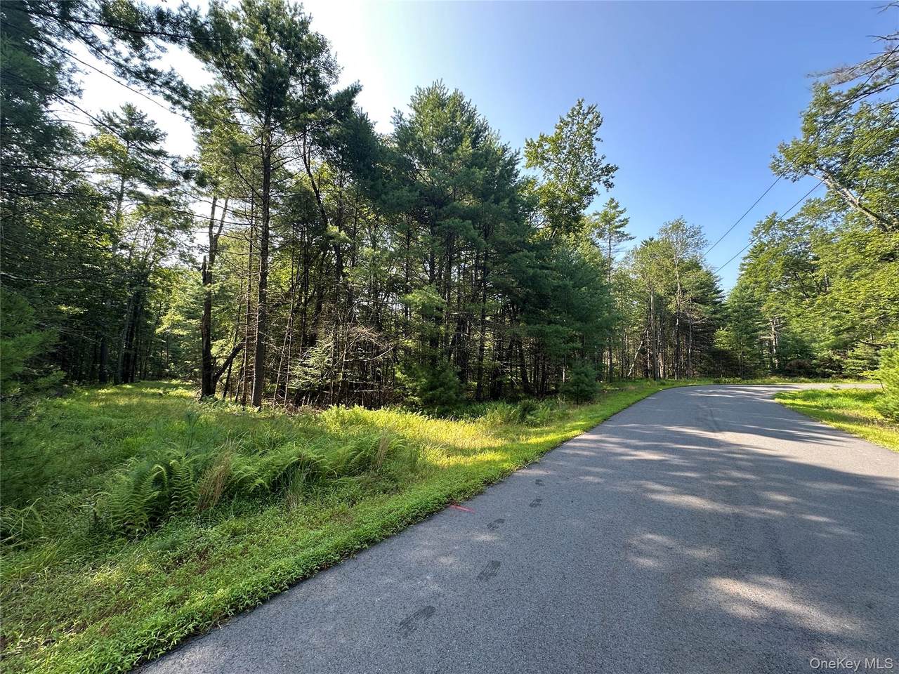  Lot 46 Summit Drive - Photo 1