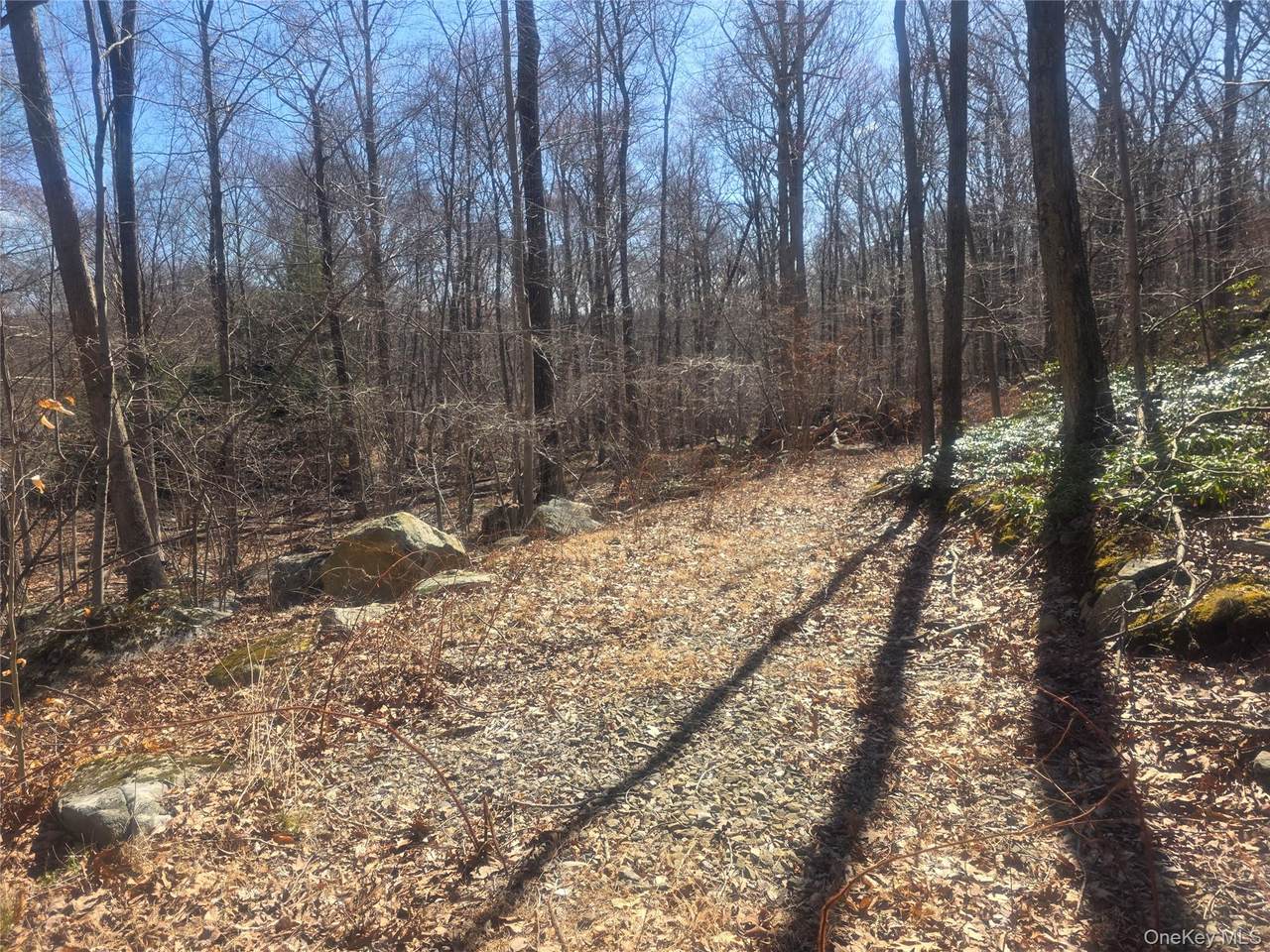  South Road - Photo 1