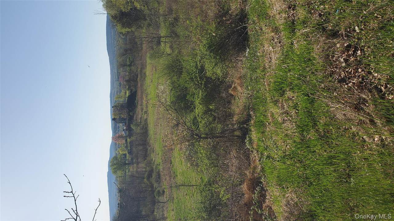 TBD Boice Mill Road - Photo 1