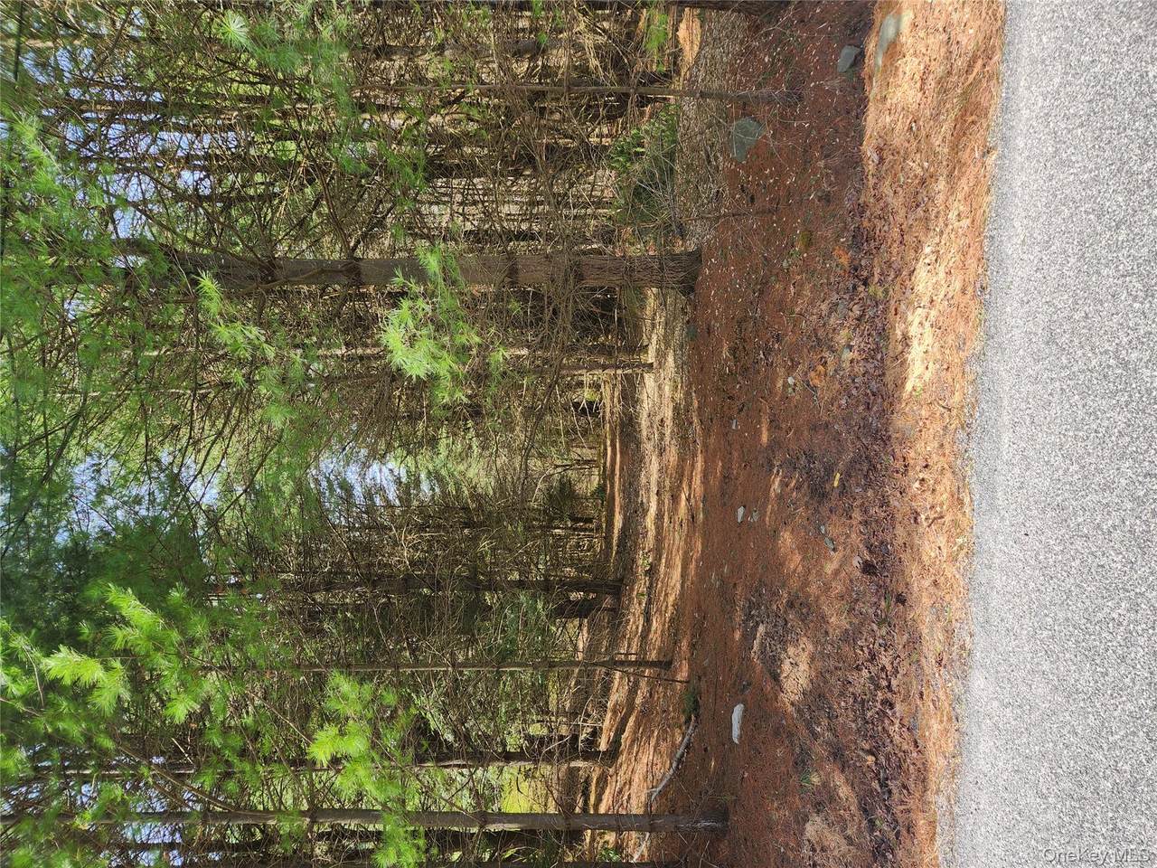 lot 45 4th Circle - Photo 1