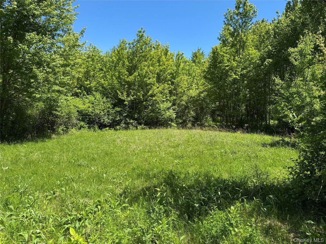 Parcel 1 - TBD Woodstock Road - Photo 1