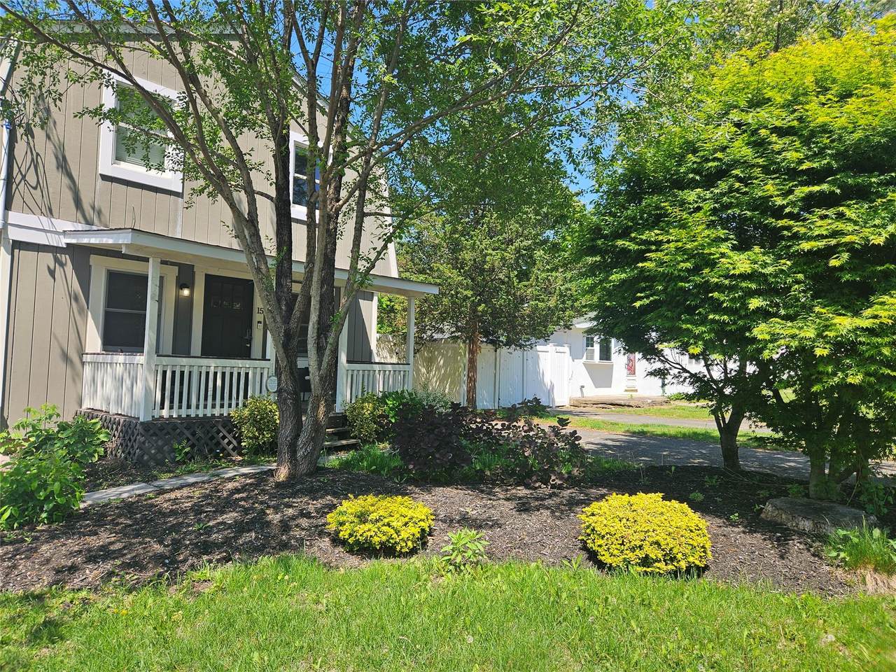 15 Ormond Avenue - Photo 1