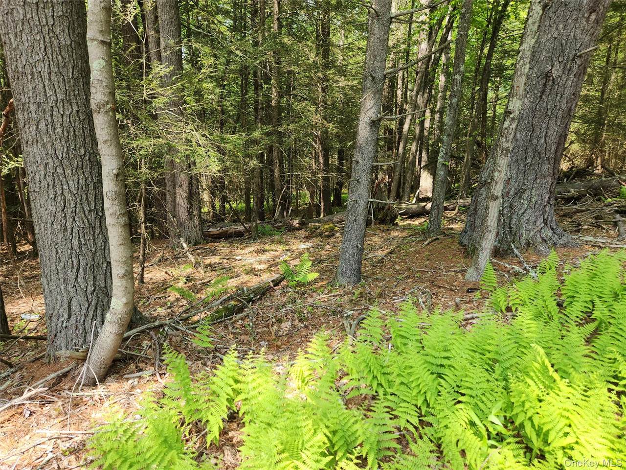  Highland Lake - Photo 1