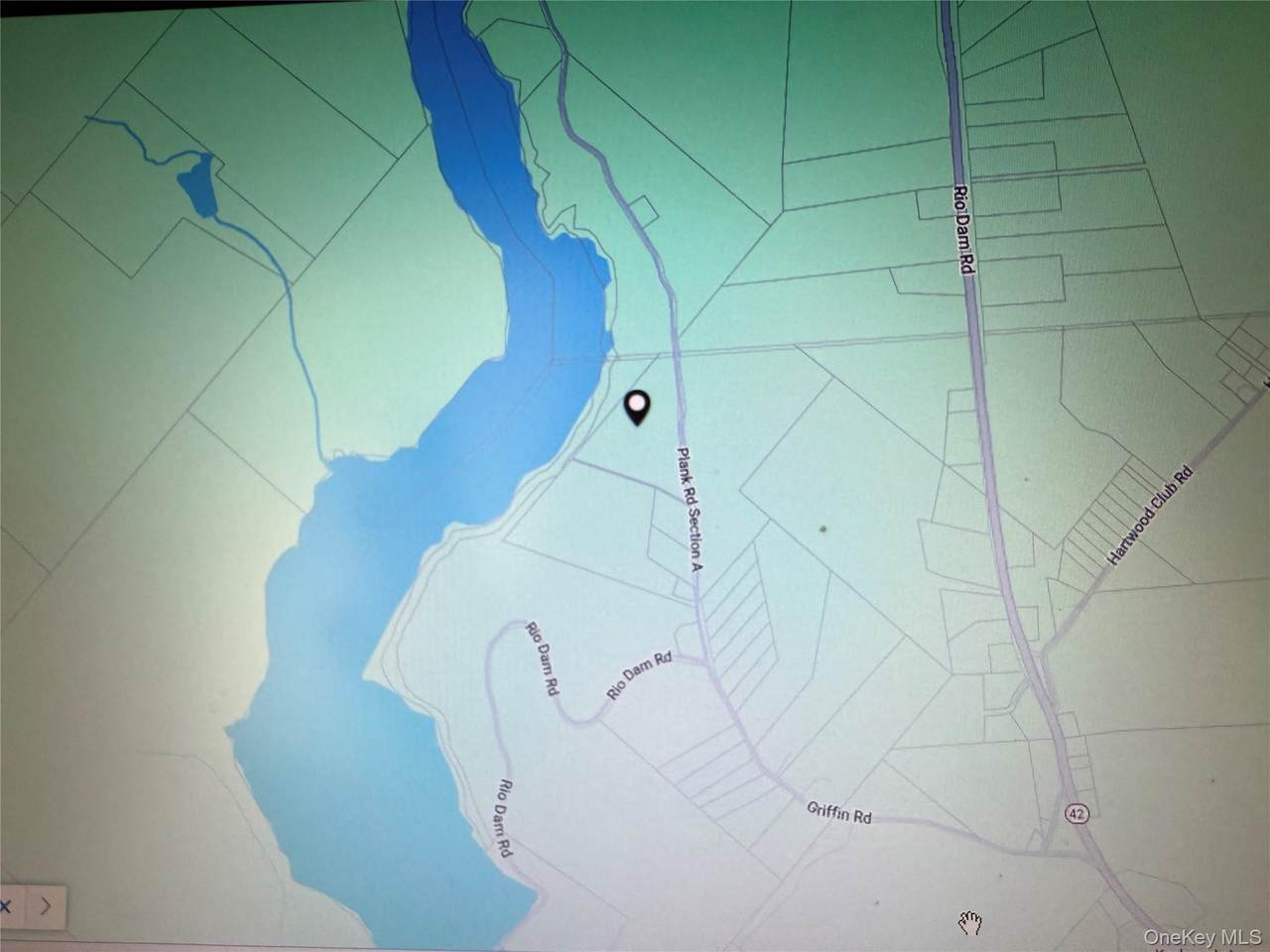 131 Old Plank Road - Photo 1