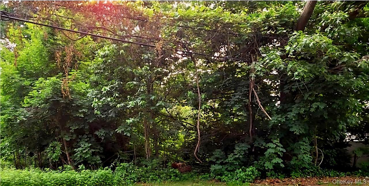 195 Ronkonkoma Avenue - Photo 1