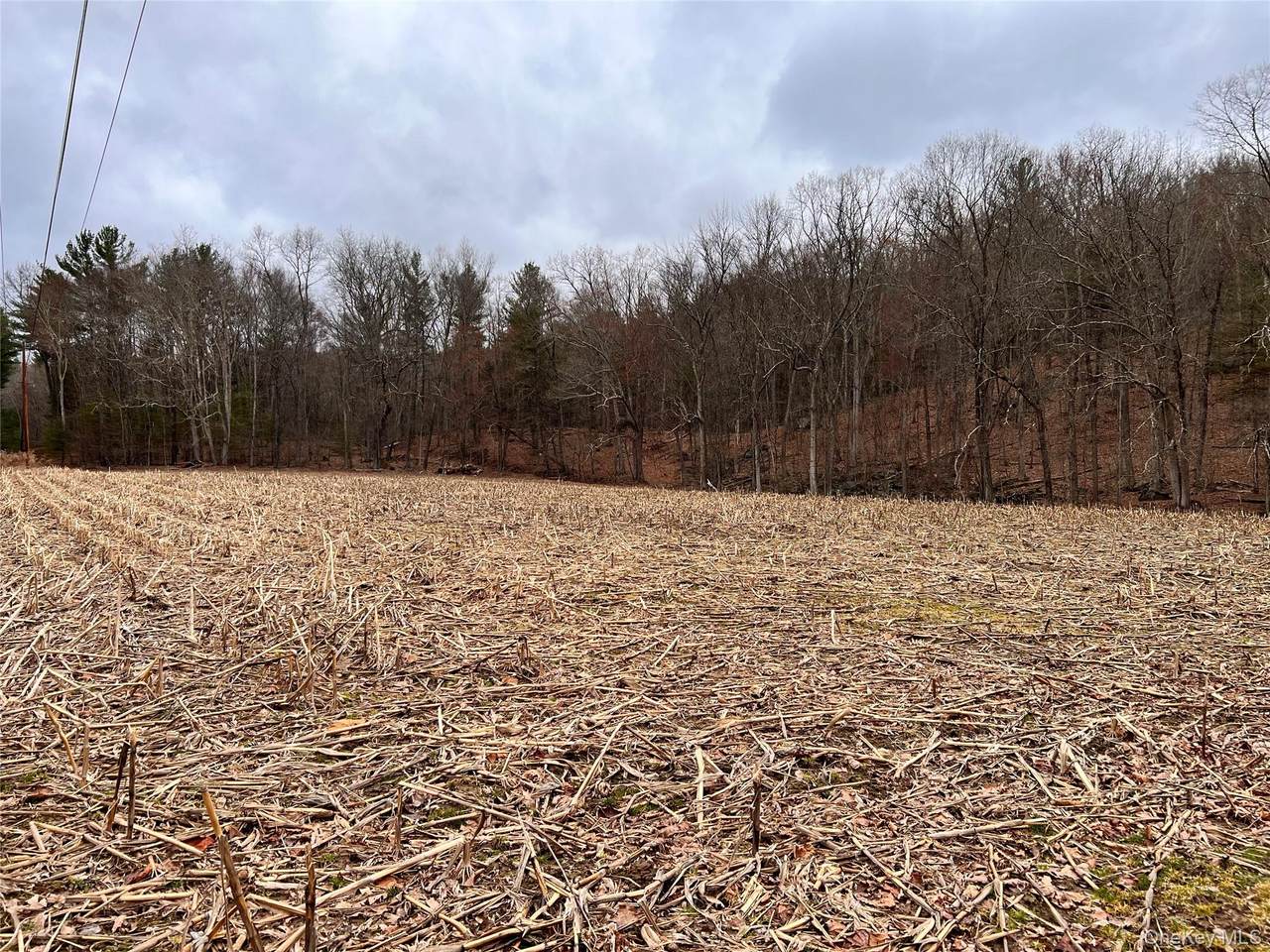 00 State Route 97 Route - Photo 1