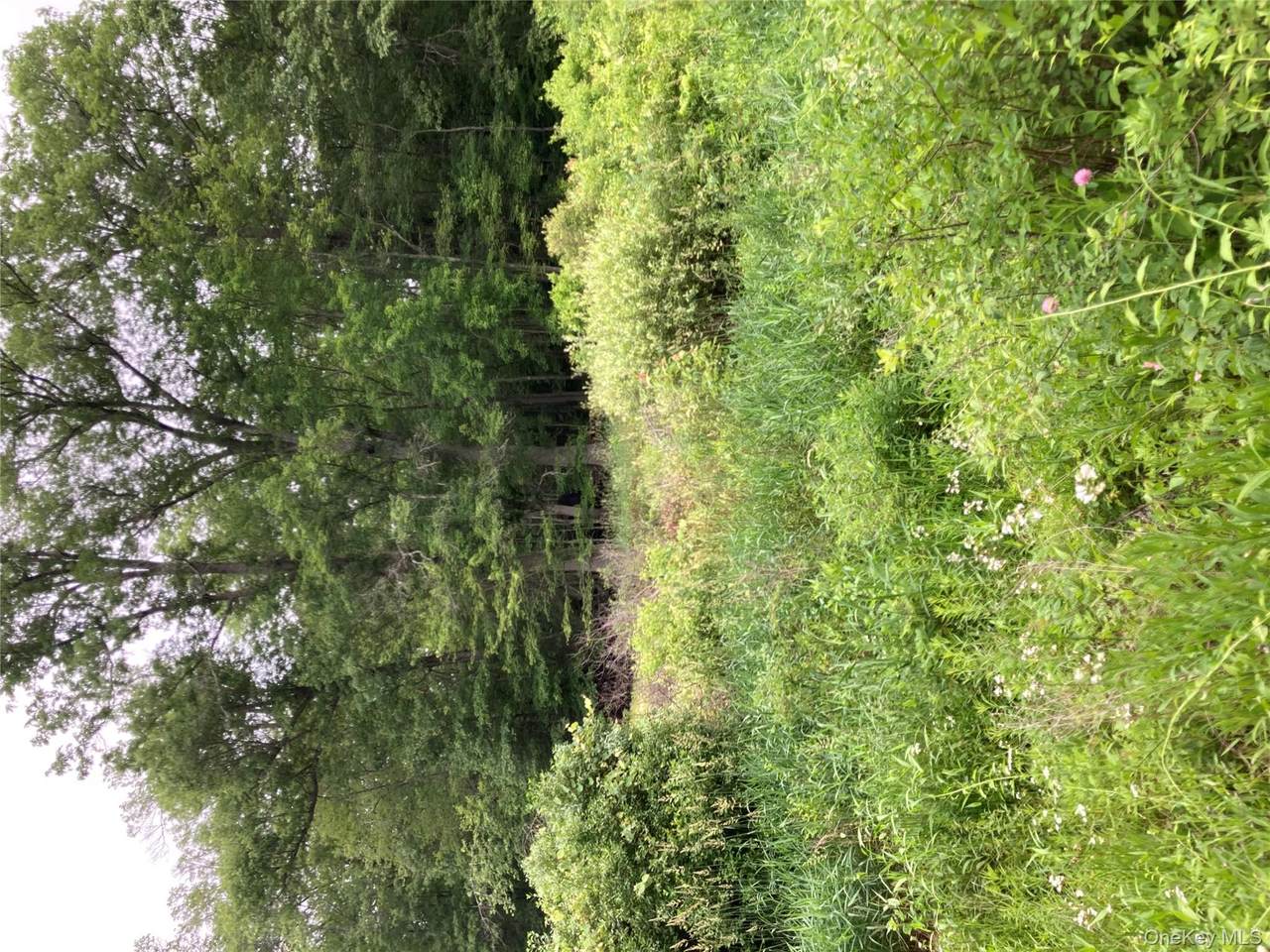  Baxtertown Road - Photo 1