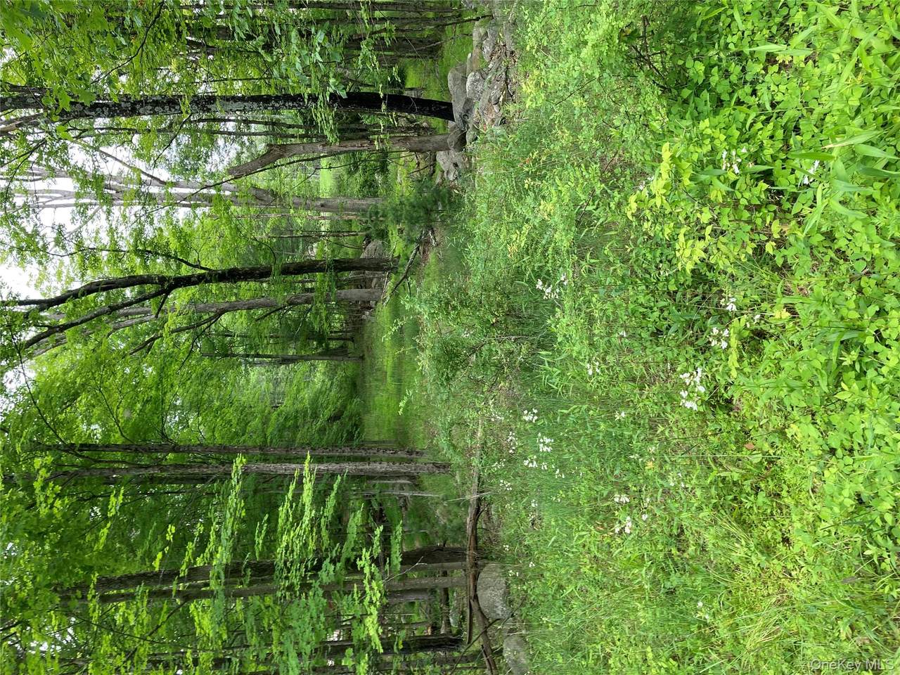 287 Church Road - Photo 1