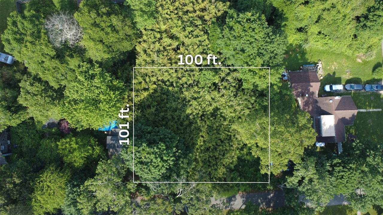  Montauk Drive - Photo 1