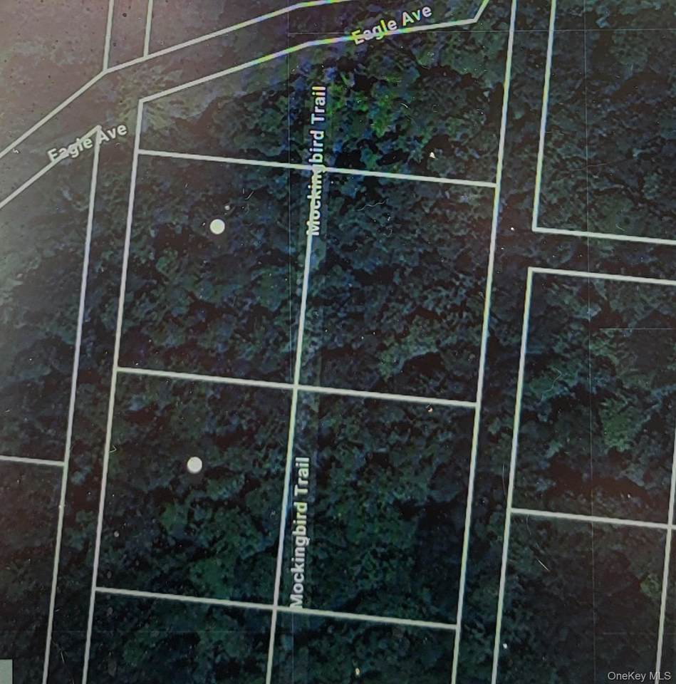  Mockingbird Trail - Photo 1