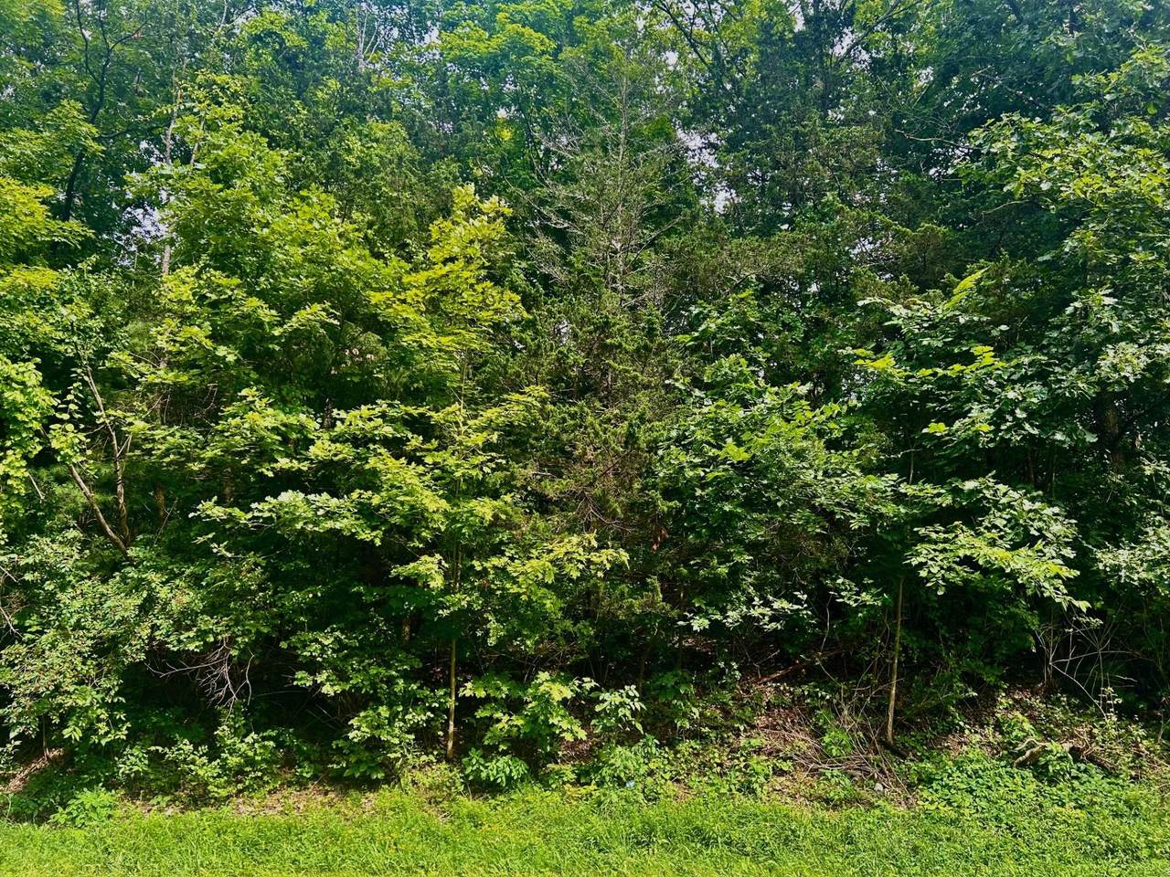 980 Quaker Lane - Photo 1