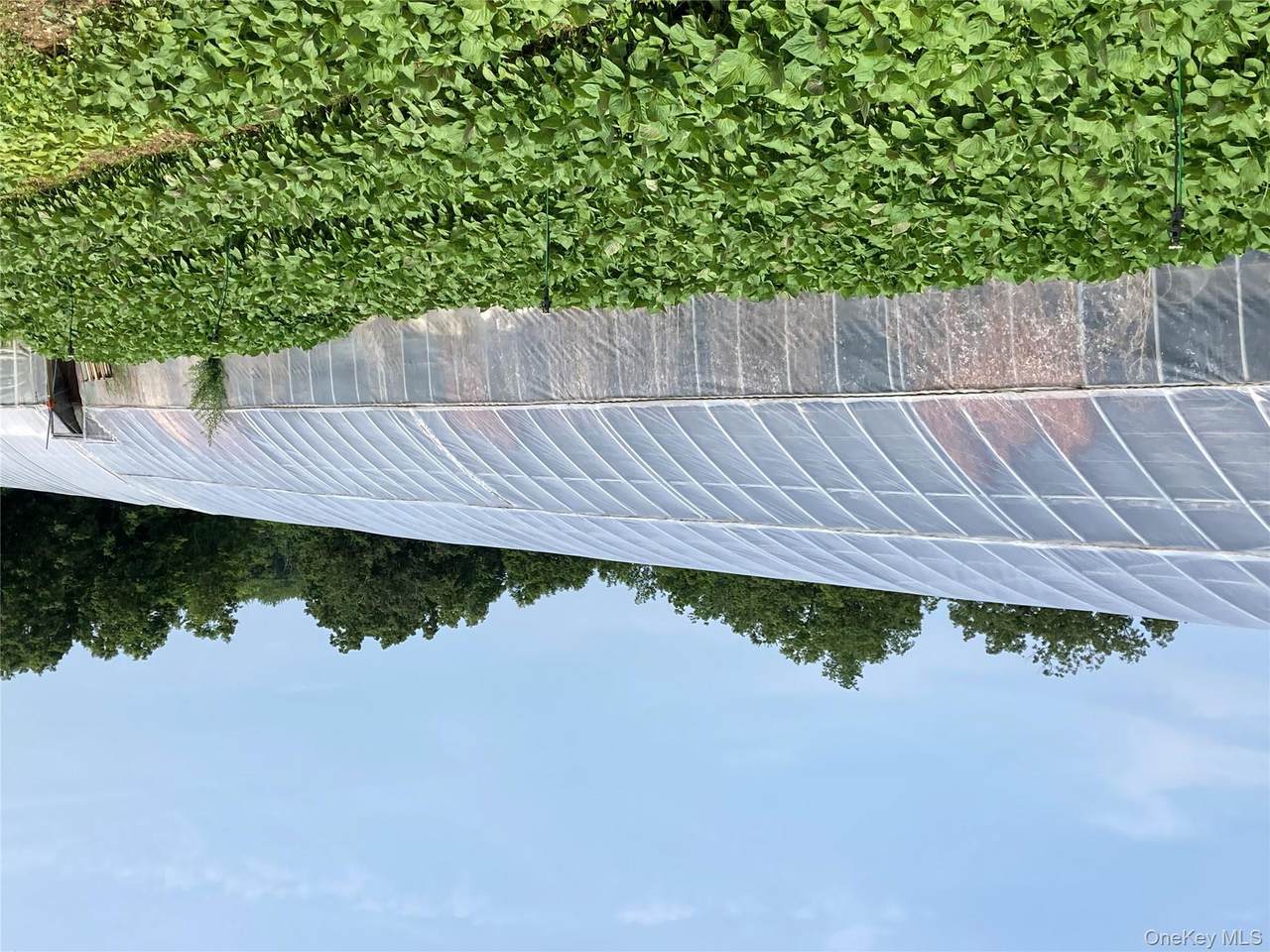 2660 State Route 208 - Photo 1