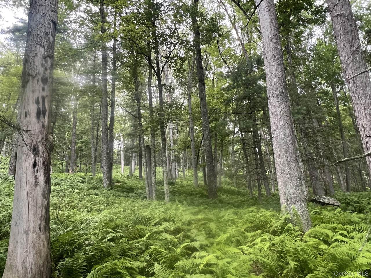 259 Lackawaxen Road - Photo 1