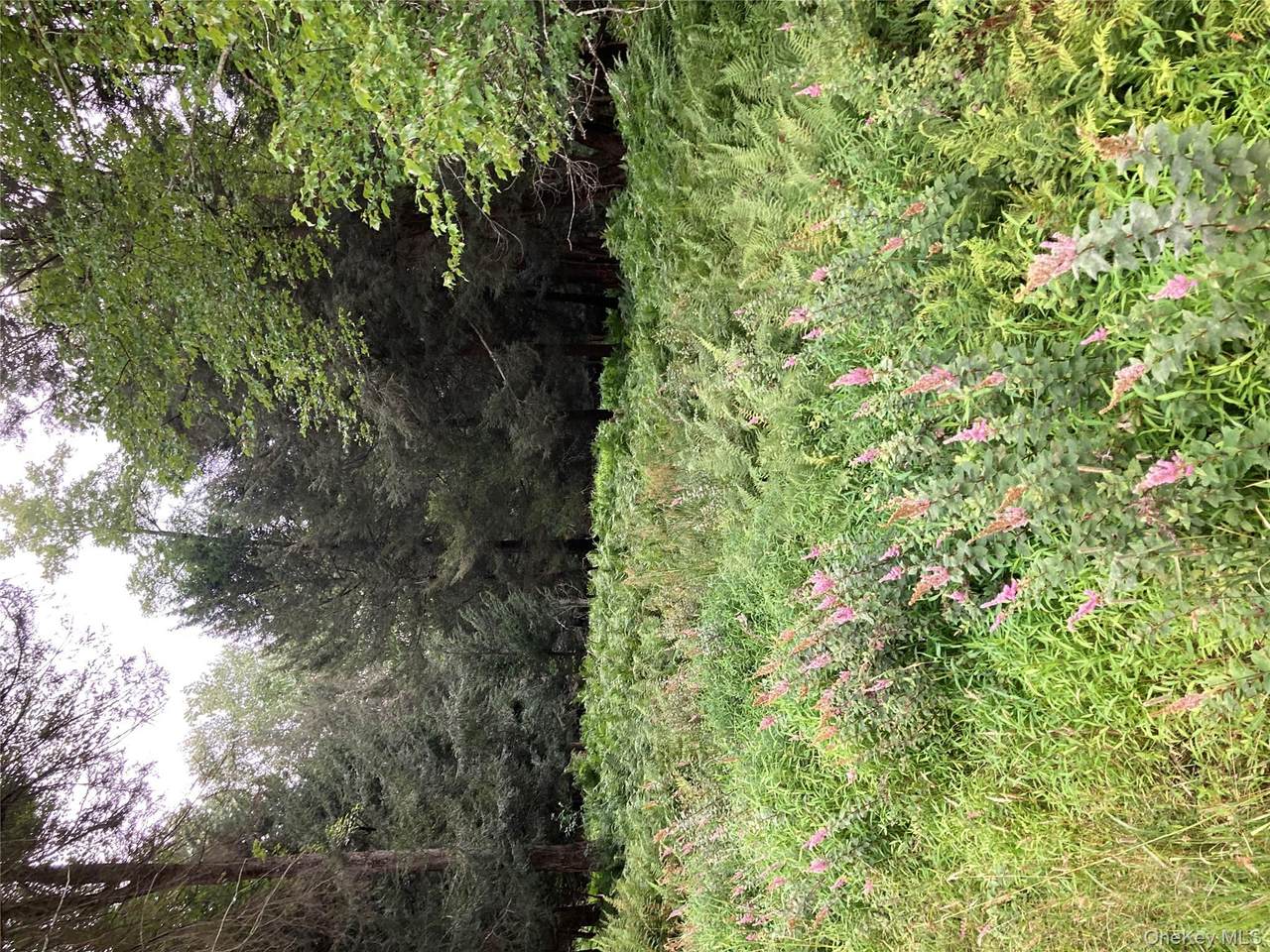  Jaketown Road - Photo 1