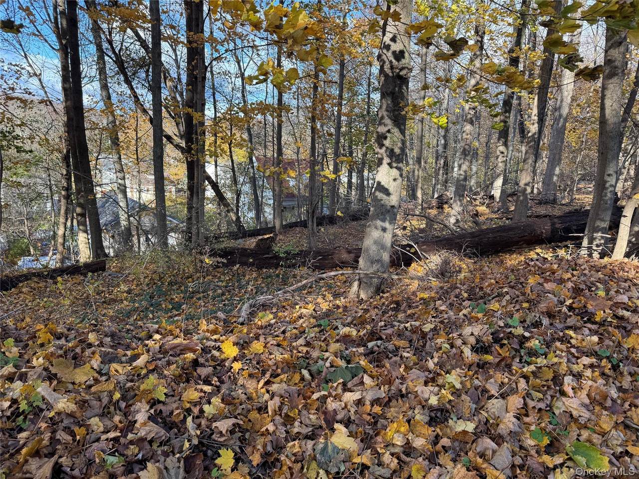  Harvard Drive - Photo 1