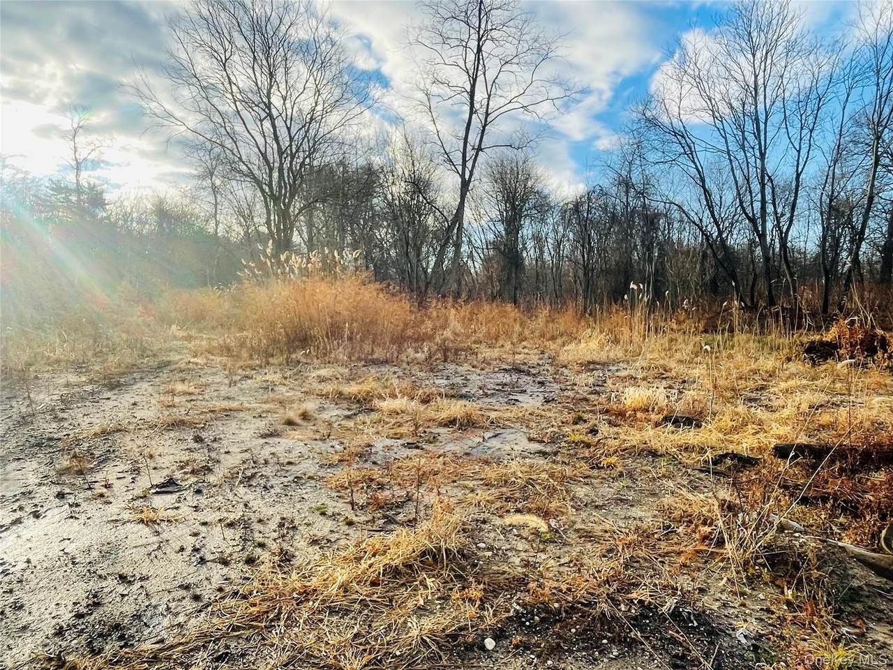 0 Daniel Lane - Photo 1